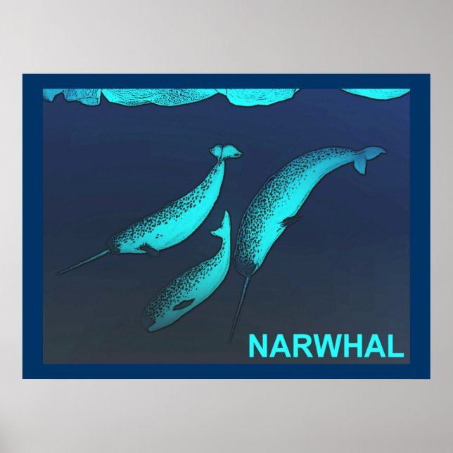 Poster Narwhal (Devant)