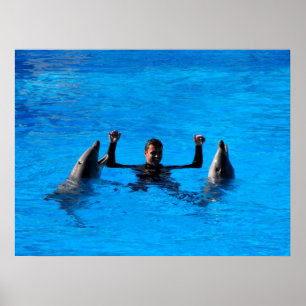 Poster Natation avec les dauphins en Espagne