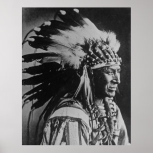 Poster Natif américain blanc de chef de Sioux de cygne