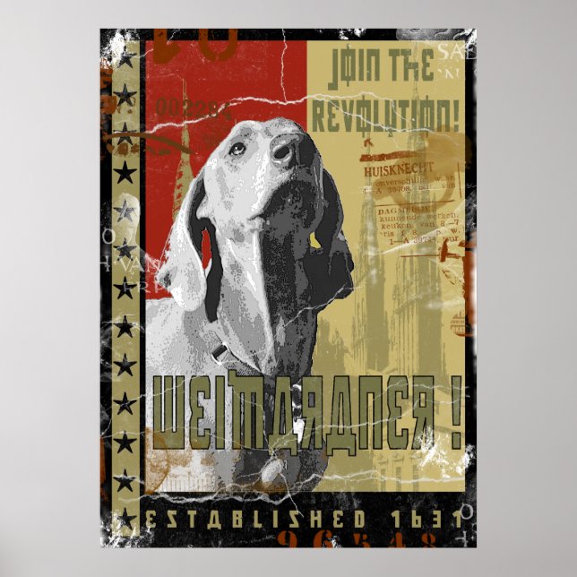 Poster Nation Weimaraner : Weimaraner Vintage (Devant)