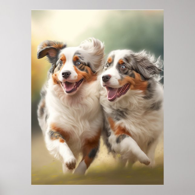 Poster National Australian Shepherd Day, Chien australien (Devant)