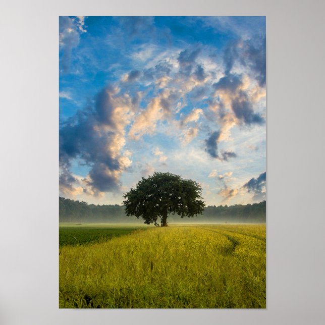 Poster Nature Arbre vert Herbe Sauvage Ciel bleu été (Devant)
