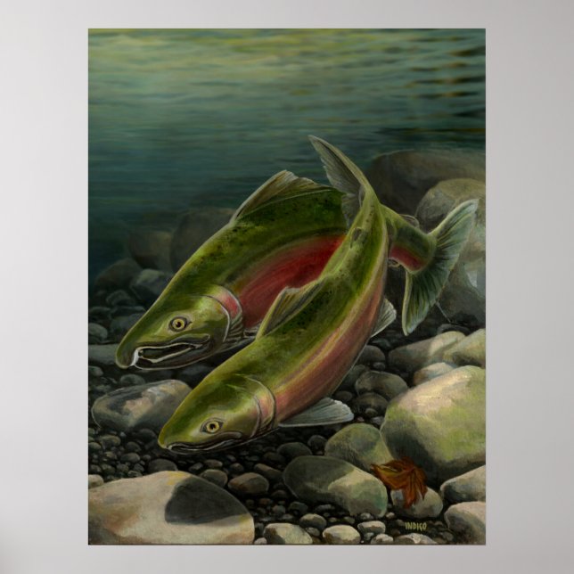 Poster Nature Art Prints Coho Saumon Pêche Art Imprimer (Devant)