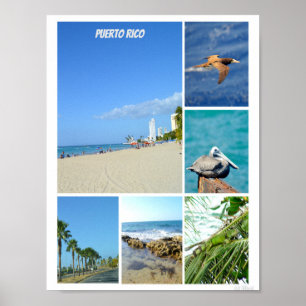Poster Nature collage of San Juan, Porto Rico