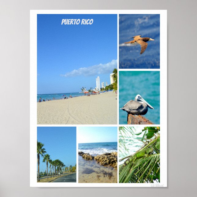 Poster Nature collage of San Juan, Porto Rico (Devant)