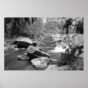 Poster Nature en noir et blanc