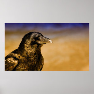 Poster Nature gothique d'oiseau de noir d'imaginaire de