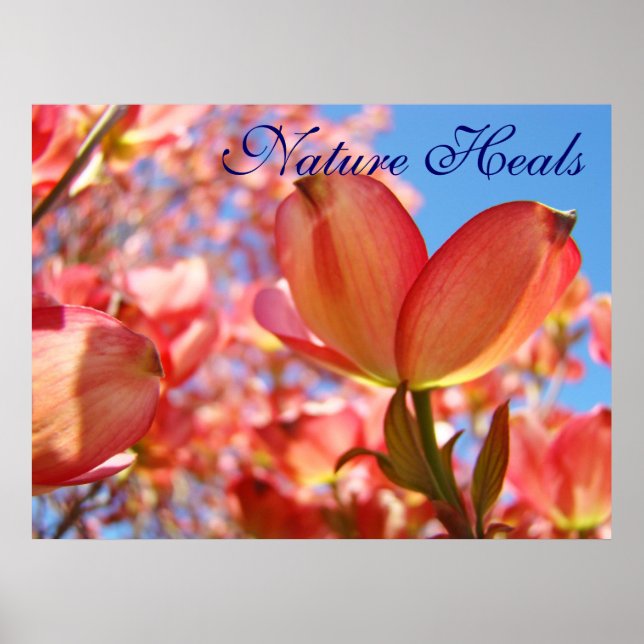 Poster Nature Heures art estampes ciel bleu Floral Dogwoo (Devant)