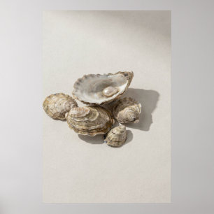 Poster Nature morte de coquille d'huître avec perle