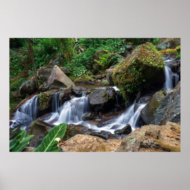 Poster Nature's Bliss (Devant)