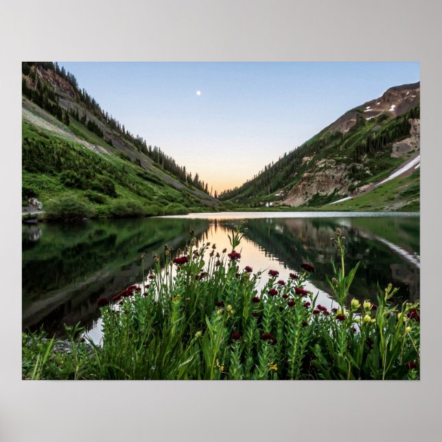 Poster Natures Bouquet // Avant-plan Floral (Devant)