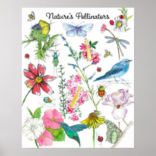 Poster Natures Pollinateurs Oiseaux d'abeilles Insectes F