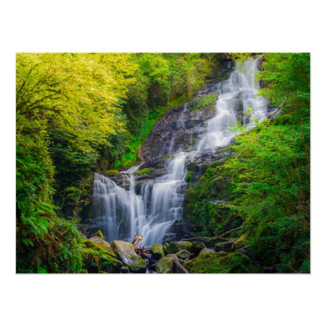 Poster Nature's Symphony: The Cascades of Killarney (Devant)
