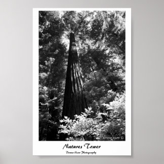 Poster Natures Tower