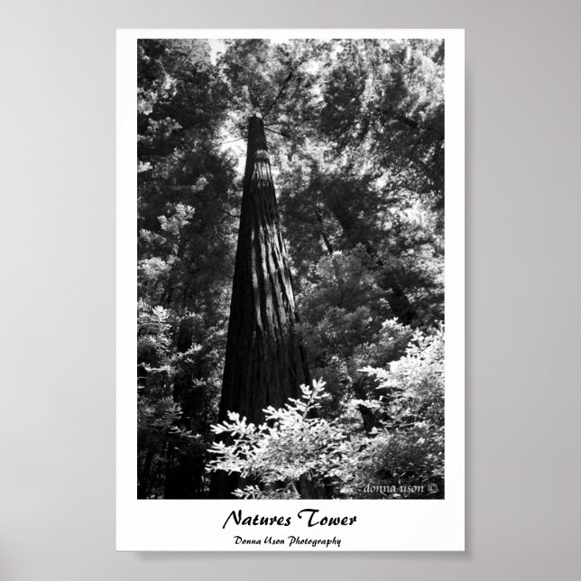 Poster Natures Tower (Vorne)
