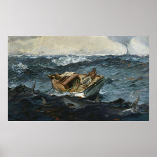 Poster Naufrage de requin