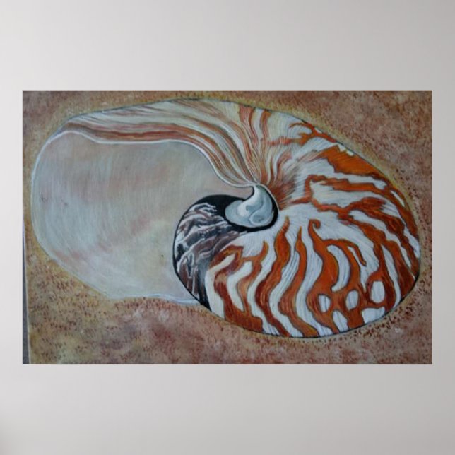 Poster nautilus (Devant)
