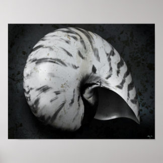 Poster Nautilus BW