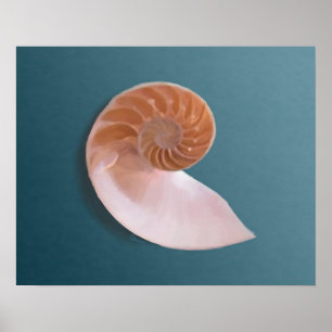 Poster Nautilus Shell on Ocean Blue Fine Art Print
