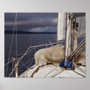 Poster Navigation dans une tempête - Tirage d'art