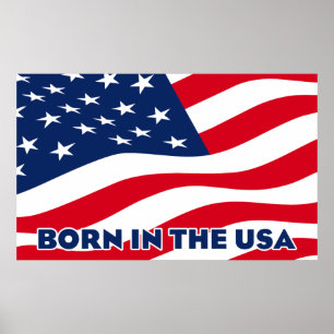 Poster Né aux États-Unis