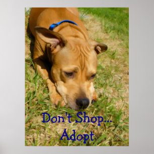 Poster Ne faites pas des emplettes… adoptent
