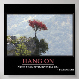 Poster Ne jamais abandonner