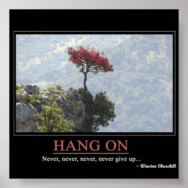 Poster Ne jamais abandonner (Devant)