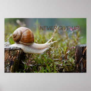 Poster NE JAMAIS ABANDONNER - édition escargot