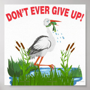 Poster ne jamais abandonner l'affiche cadeau grenouille