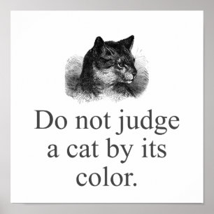 Poster Ne Jugez Pas Un Chat