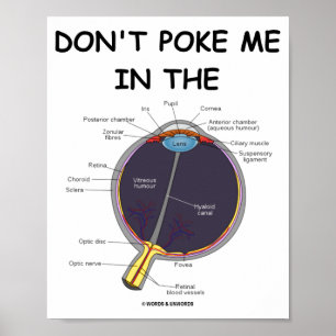 Poster Ne Me Regarde Pas Dans L'oeil Anatomie De L'oeil A