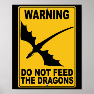 Poster Ne pas nourrir les dragons