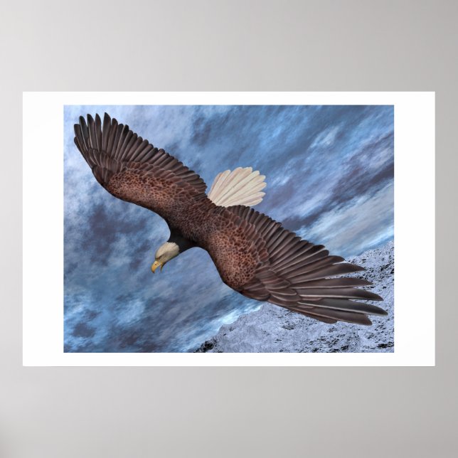 Poster Né pour être libre (Devant)