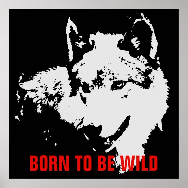 Poster Né Pour Être Sauvage Motivationnel Pop Art Wolf (Devant)