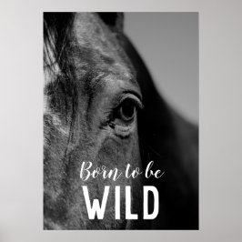 Poster Né pour être sauvage Noir & Blanc Gros plan Cheval