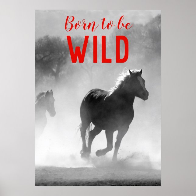 Poster Né pour être Wild Black & White Running Horses (Devant)