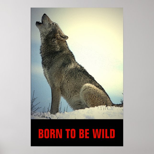 Poster Né Pour Être Wild Motivational Wolf Howling Moon (Devant)