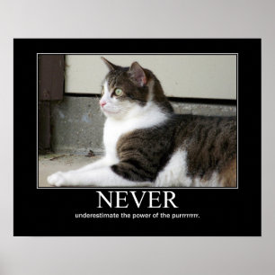 Poster Ne sous-estimez jamais l'illustration de chat