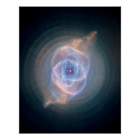 Nebula oculaire des chats