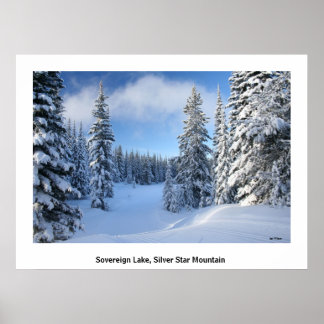Poster Neige