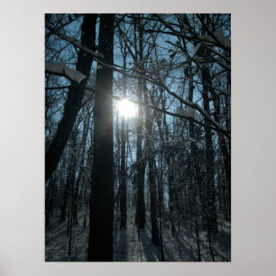 Poster Neige dans les bois
