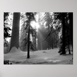 Poster Neige d'hiver dans le parc national Kings Canyon