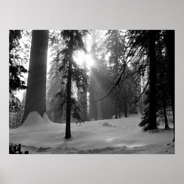 Poster Neige d'hiver dans le parc national Kings Canyon (Devant)