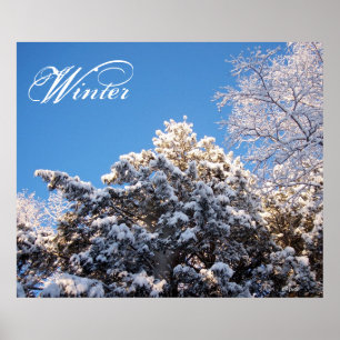 Poster Neige d'hiver sur les arbres