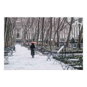 Poster Neige du Bryant Park