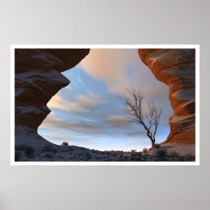 Poster Neige du désert