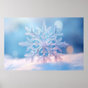 Poster Neige Flake Nature Serene Tranquille Paix