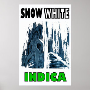 POSTER NEIGE INDIQUE BLANC