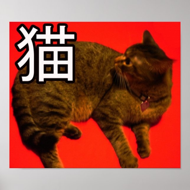 Poster Neko (Devant)